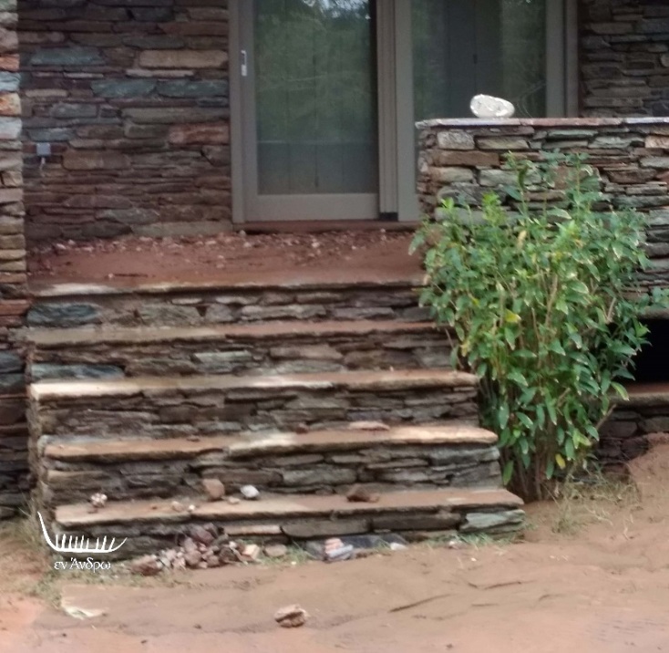 andros-menegaki-zimies5