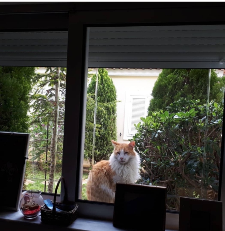 #menoumespiti με την Athens Voice: Η Publishing Director των εκδ. Ψυχογιός, Αγγέλα Σωτηρίου, περιγράφει μία μέρα στο σπίτι, εν μέσω πανδημίας κορωνοϊού