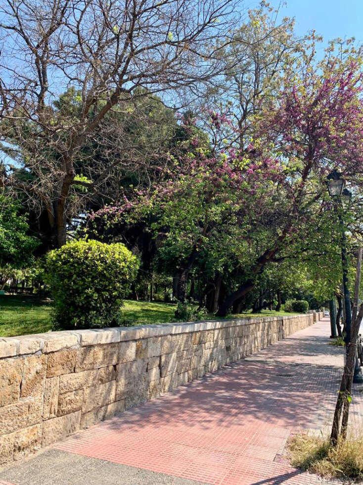 Αντιγκράφιτι παρέμβαση στο Πάρκο Ευαγγελισμού από τον Δήμο Αθηναίων  