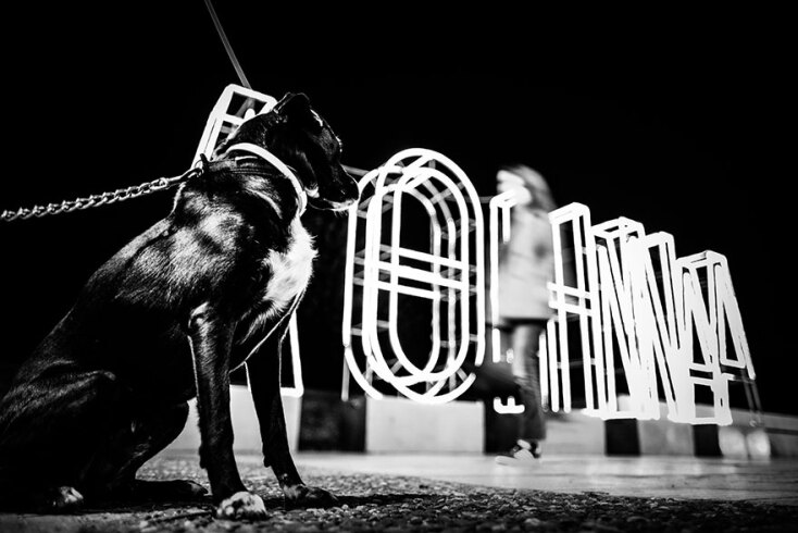 Lockdown στην Αθήνα: Από την απαγόρευση κυκλοφορίας εξαιρούνται όσοι βγάζουν για σύντομη βόλτα τον σκύλο ή άλλο κατοικίδιο