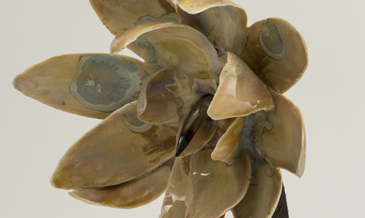 Λεπτομέρεια από την εγκατάσταση Unlikely places της Δέσποινας Χαριτωνίδου στην έκθεση "Apotropaion"