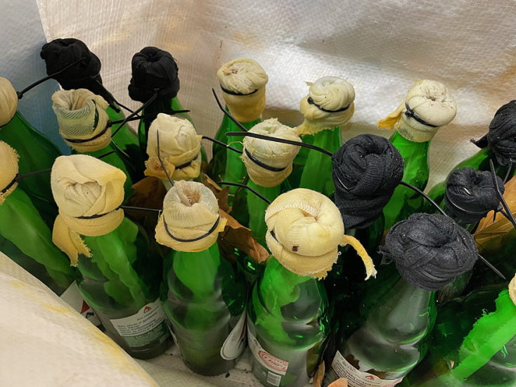 Εντοπίστηκαν δεκαεννέα βόμβες μολότοφ στο ΑΠΘ