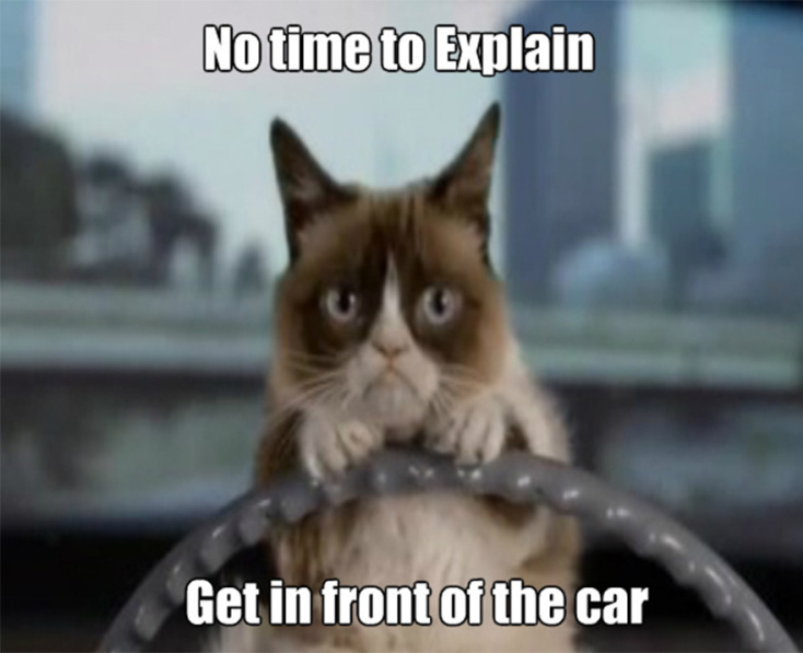 are-grumpy-cat-memes-dead_o_7204495.jpg