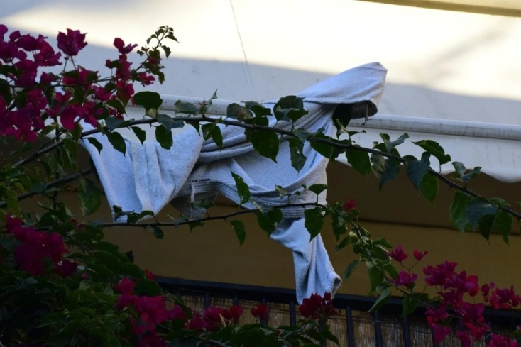 Άργος: Νεκρή 57χρονη που έπεσε από ταράτσα