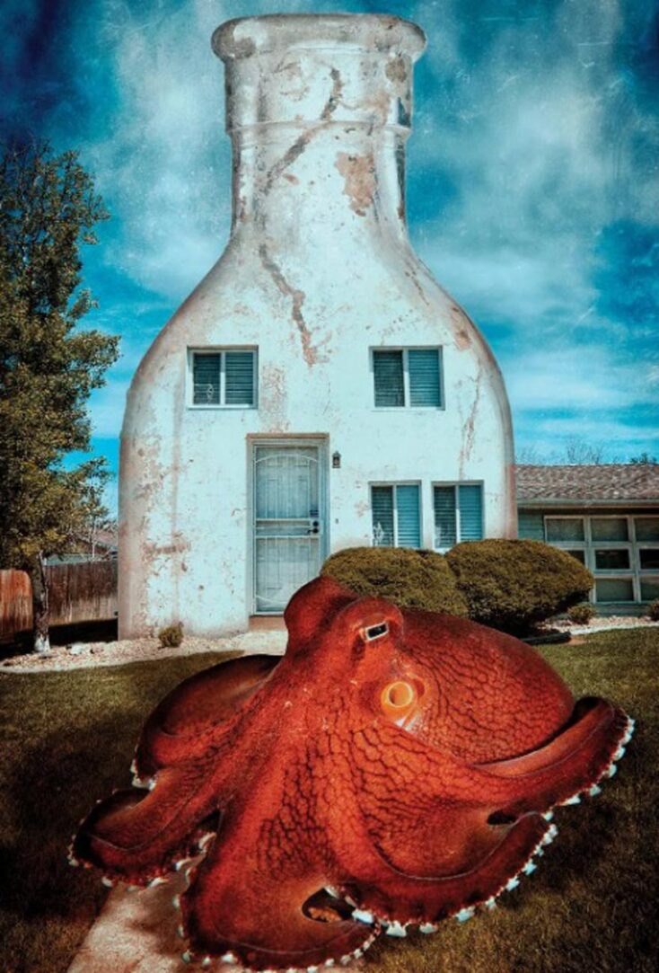 Νικητές των 14ων βραβείων του περιοδικού Scuba Diving