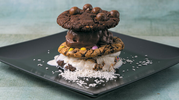 L’ arte del gelato, Υπέροχο ιταλικό παγωτό