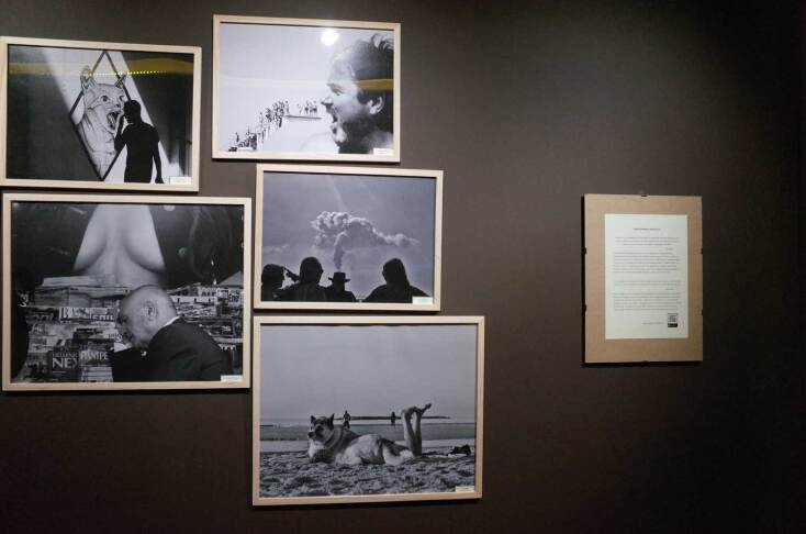 © Άνθιμος Ντάγκας