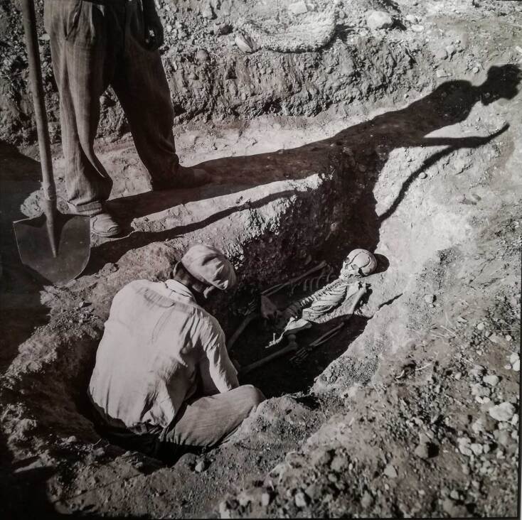 Αρχαιολογική Εταιρεία / Μυκήνες 1955: Ανακάλυψη τάφου στις Μυκήνες