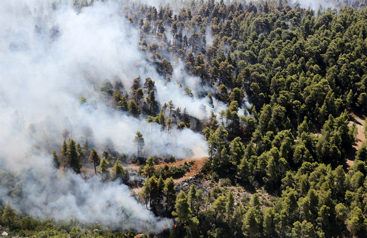 Φωτιά στην Εύβοια