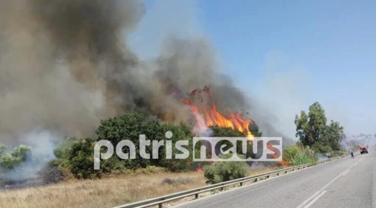 Φωτιά στη Βάρδα Ηλείας 