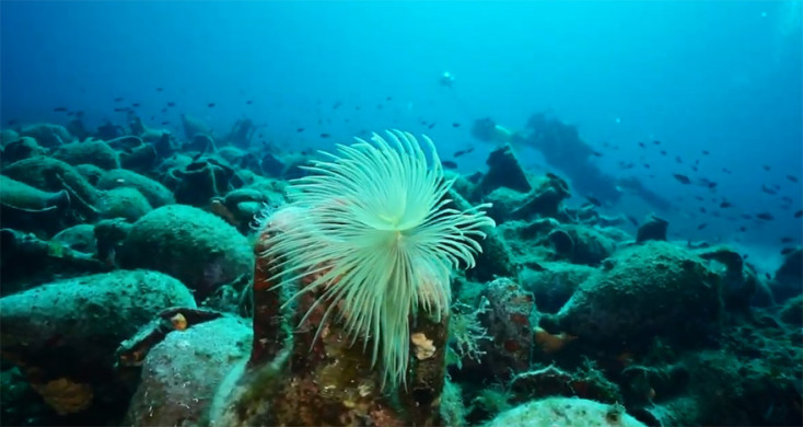 Αλόννησος: Το πρώτο υποβρύχιο μουσείο της Ελλάδας