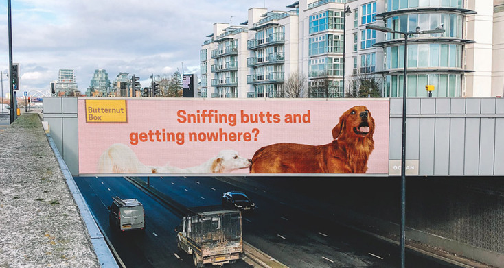 Η παραμυθένια ζωή του τετράποδου Σταύρου © Χάνα Χάσκεθ και Βασιλεία Μαυραγάνη