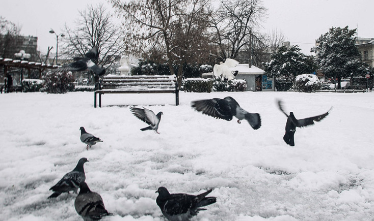 ΕΝΤΟΝΗ ΧΙΟΝΟΠΤΩΣΗ ΣΤΗΝ ΠΟΛΗ ΤΩΝ ΤΡΙΚΑΛΩΝ