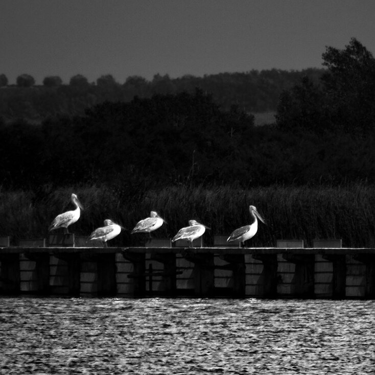 Πόρτο Λάγος
