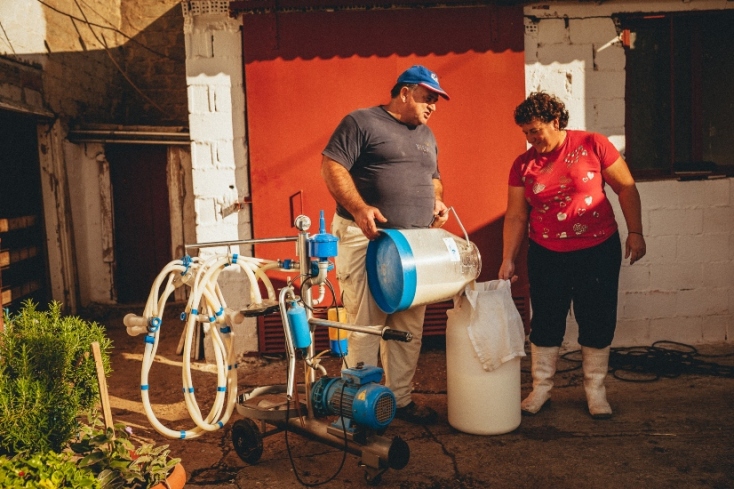 Βοσκοί της Αθήνας