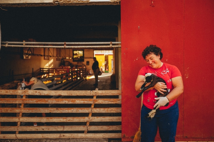 Βοσκοί της Αθήνας