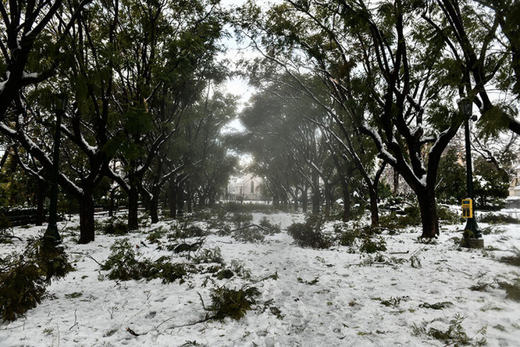 Πτώσεις κλαδιών από την κακοκαιρία «Ελπίδα» στο κέντρο της Αθήνας