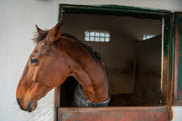 Η Οριάνα Μανώλη