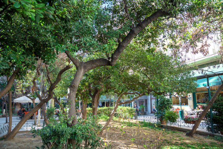 © Θανάσης Καρατζάς