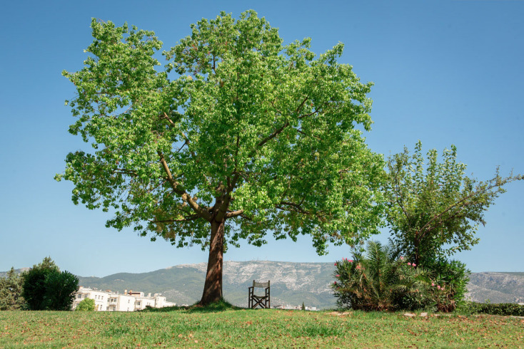 Πάρκο Ελευθερίας © Θανάσης Καρατζάς