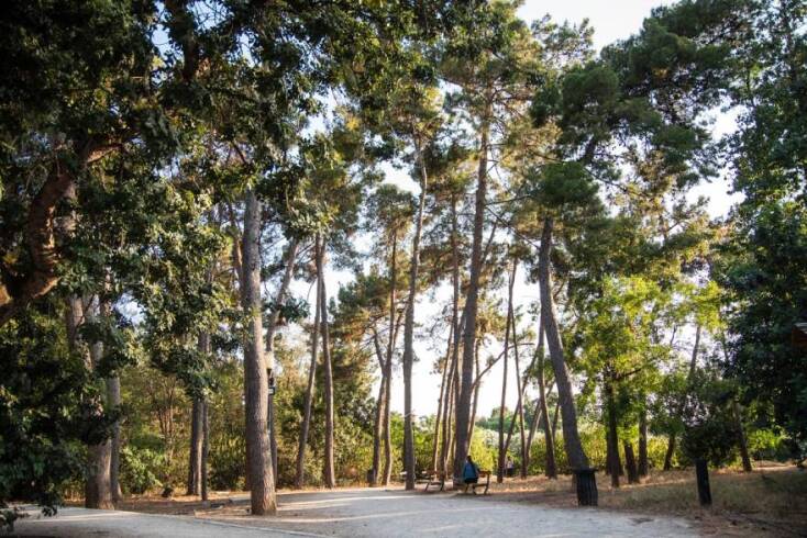 Πεδίον του Άρεως