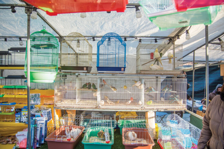 ©Θανάσης Καρατζάς