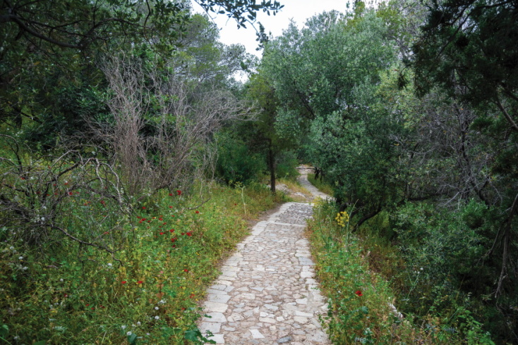 Φωτογραφία από μονοπάτι της Ακρόπολης.