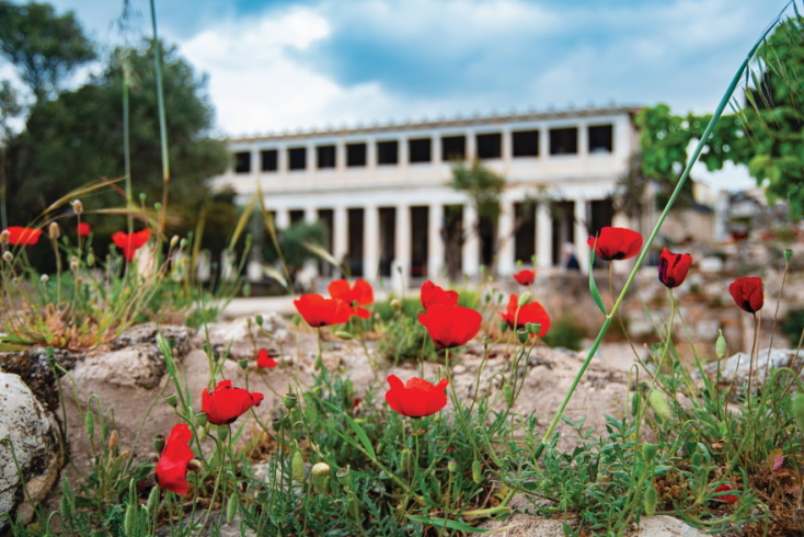 Φωτογραφία από τους αρχαιολογικούς χώρους της Ακρόπολης.