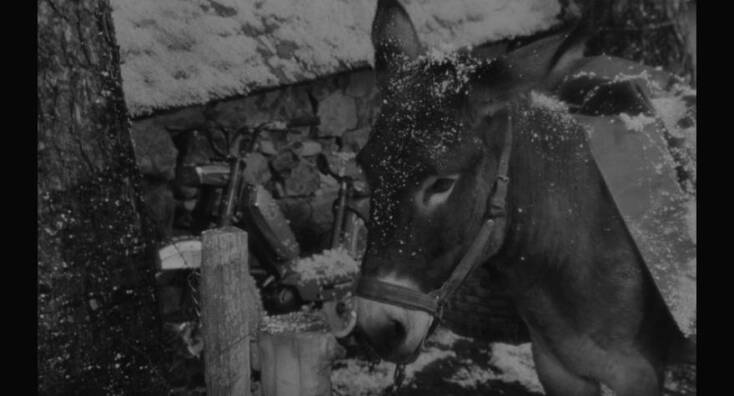 Au hasard Balthazar του Robert Bresson
