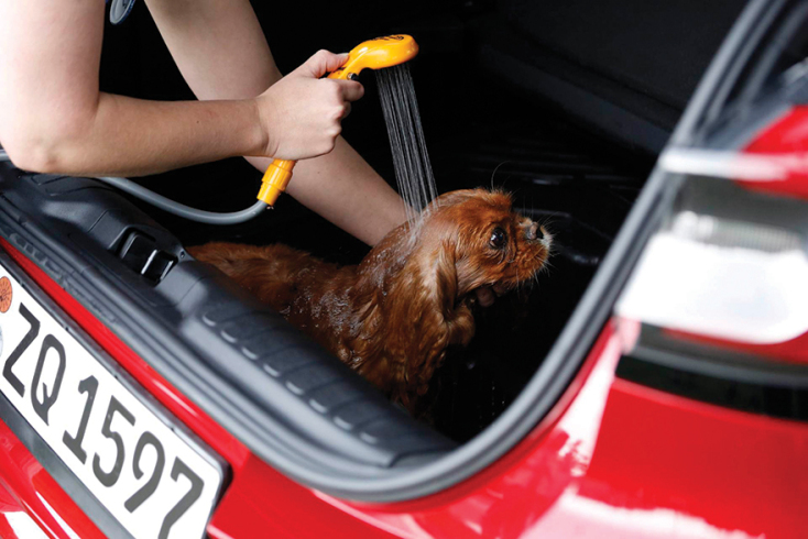 Το νέο Ford Puma