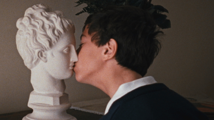 The Metamorphosis of Birds