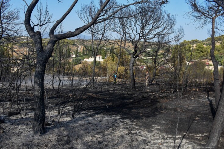 Φωτιά στη Ζήρια: Οι πρώτες εικόνες από τα καμμένα