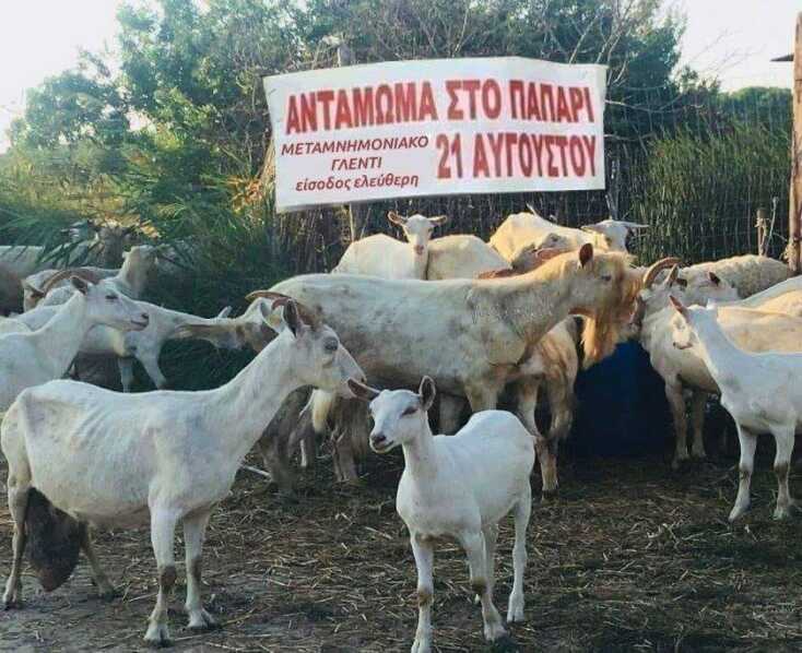 aygoystiatika_panigyria.jpg