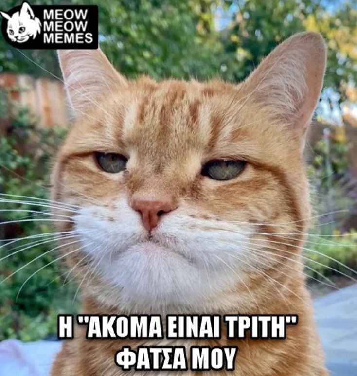 Αστεία memes, ατάκες, YOLO βίντεο, virals που ανέβηκαν στο διαδίκτυο και μας έκαναν να γελάσουμε