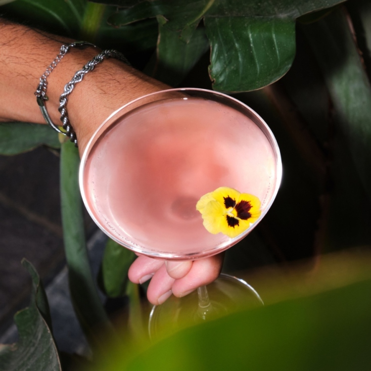 The Bar In Front Of The Bar