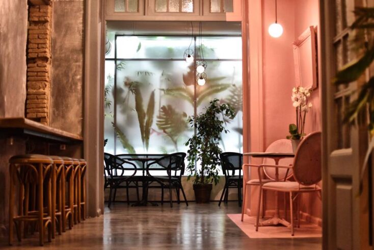 Beauty killed the beast