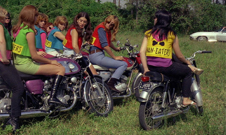 She-Devils on Wheels 