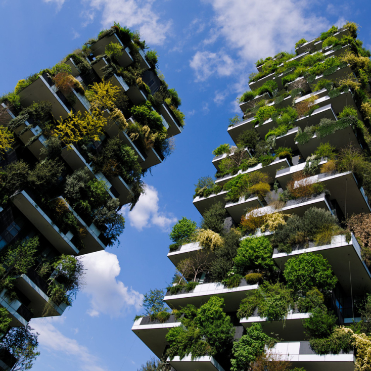 bosco_verticale.jpg