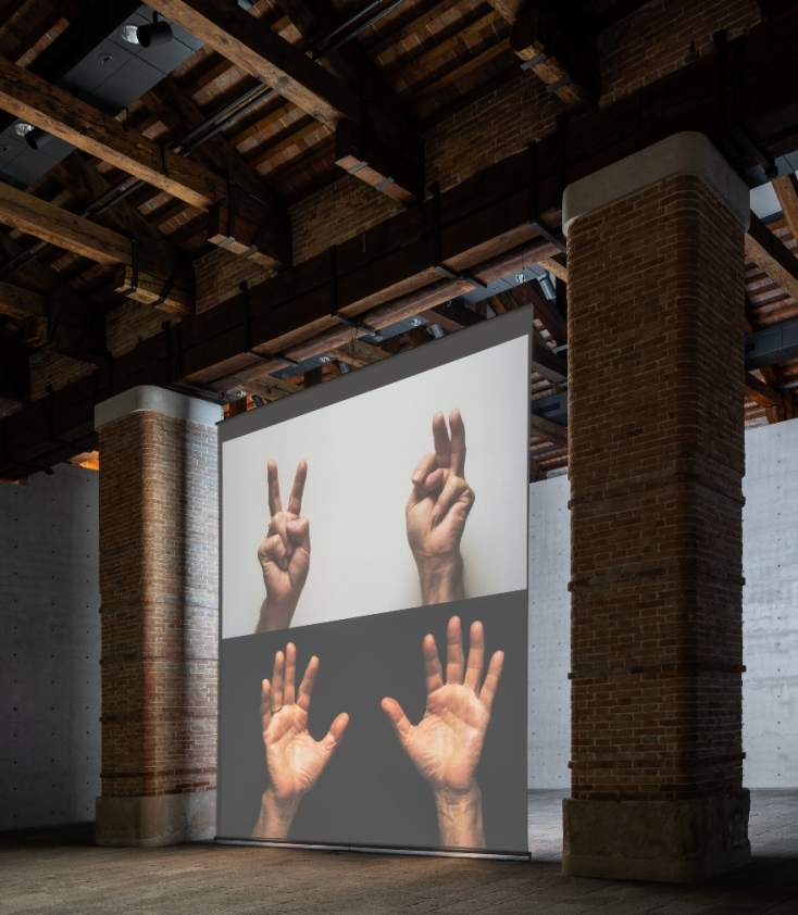 Bruce Nauman "Contrapposto studies"