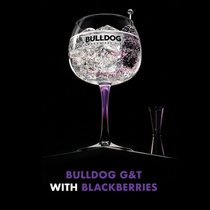 bulldog_tonic_blackberries.jpg