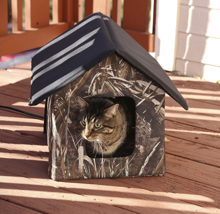 cat_house_2.jpg