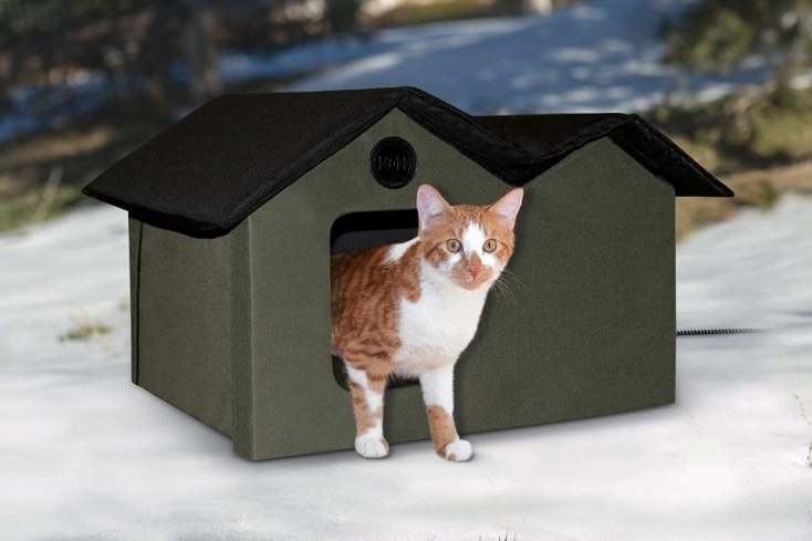 cat_house_3.jpg