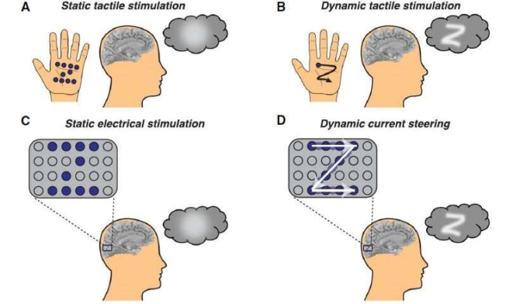 Dynamic Stimulation of Visual Cortex Produces Form Vision in Sighted and Blind Humans