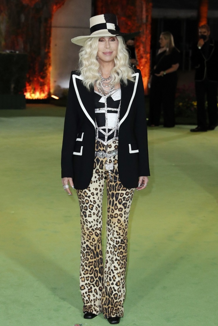 Η Cher στο γκαλά του Αμερικανικού Μουσείου της Ακαδημίας Κινηματογράφου στο Λος Άντζελες