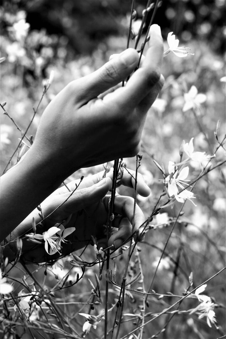 Φωτογραφία της Χριστίνας Παπαδοπούλου