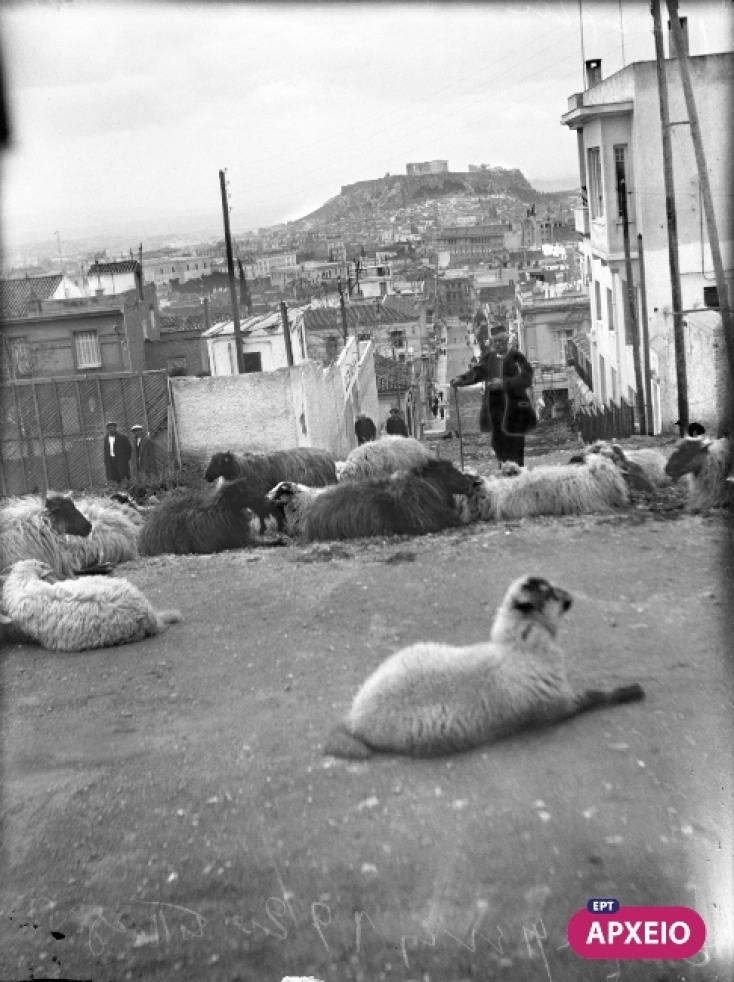 Βοσκοί της Αθήνας