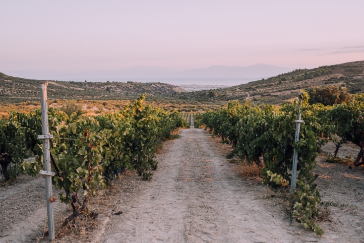 Το κτήμα Κοντογιάννη