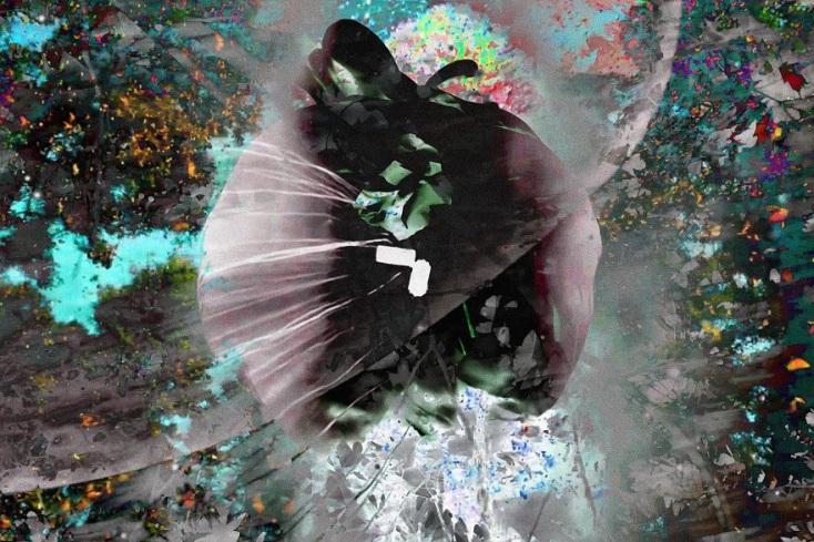 Έργο του Costas Picadas που συμπεριλαμβάνεται στην έκθεση «Finding the ties between science and nature».