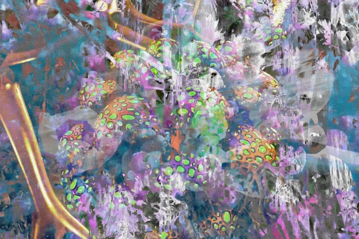 Έργο του Costas Picadas που συμπεριλαμβάνεται στην έκθεση «Finding the ties between science and nature».