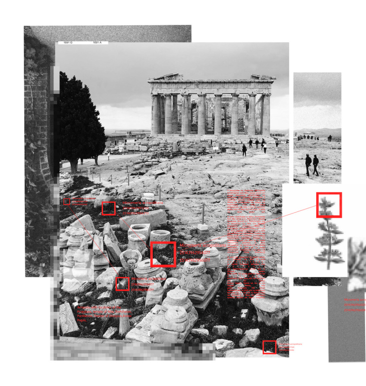 Κυριακή Γονή, Data Garden